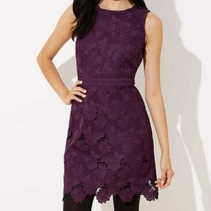 Nwt size 0 purple lace sheath dress from loft